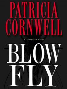      Blow Fly