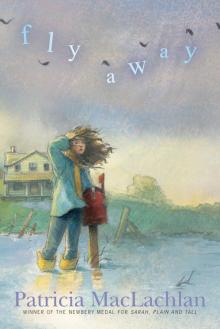      Fly Away