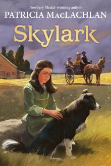      Skylark