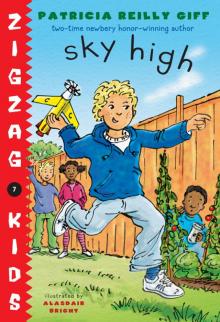      Sky High