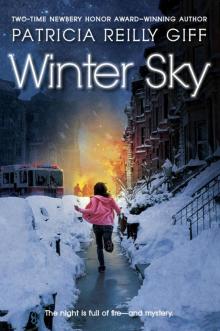      Winter Sky