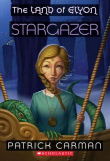     The Land of Elyon #4: Stargazer