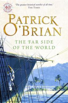      The Far Side of the World