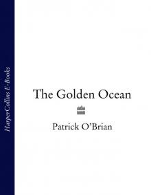      The Golden Ocean