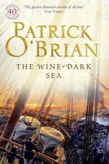      The Wine-Dark Sea