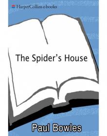      The Spider's House