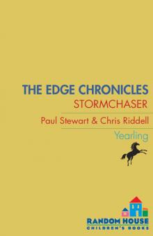      Stormchaser: Second Book of Twig