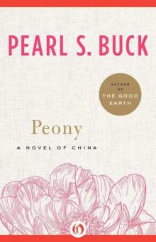      Peony