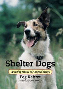      Shelter Dogs