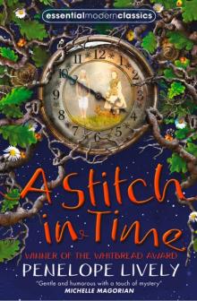      A Stitch in Time