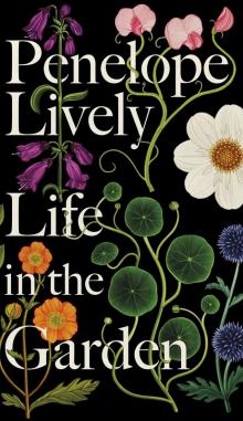      Life in the Garden