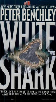      White Shark