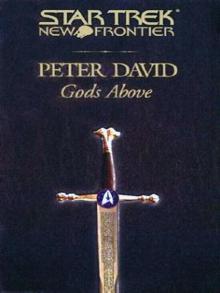      STAR TREK: NF 13 - Gods Above