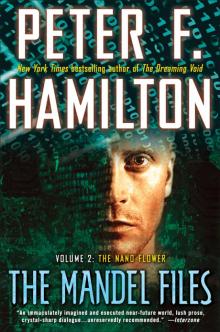      The Mandel Files, Volume 2: The Nano Flower
