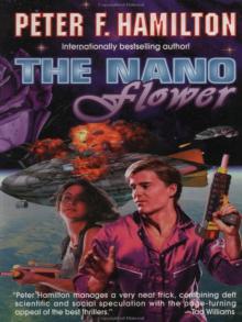      The Nano Flower