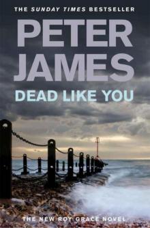      Dead Like You