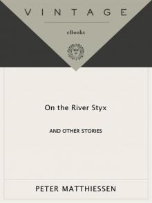      On the River Styx: And Other Stories