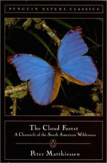      The Cloud Forest