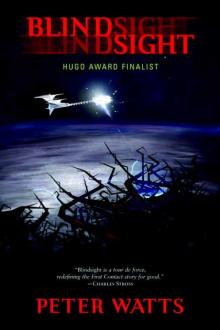      Blindsight
