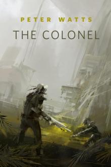      The Colonel