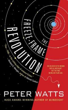      The Freeze-Frame Revolution