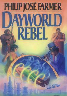      Dayworld Rebel