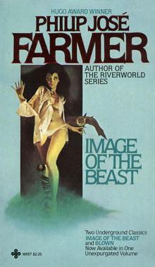      Image of the Beast / Blown