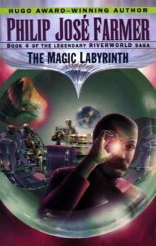      R.W. IV - The Magic Labyrinth