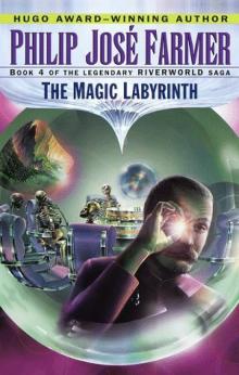      The Magic Labyrinth