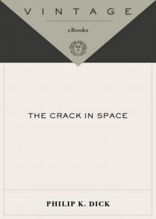      The Crack in Space