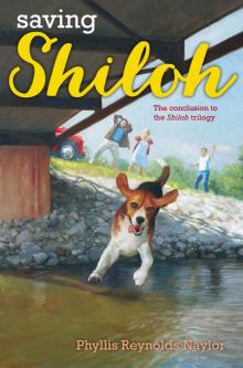      Saving Shiloh