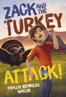      Zack and the Turkey Attack