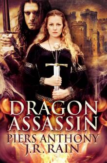      Dragon Assassin