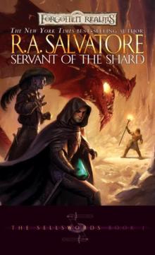      Servant of the Shard: The Sellswords