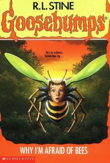      17 - Why I'm Afraid of Bees
