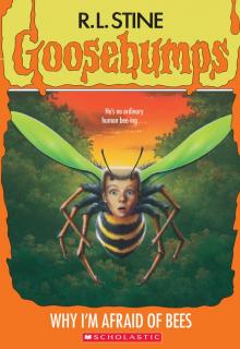      Why I'm Afraid of Bees