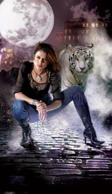      Amelie's Story