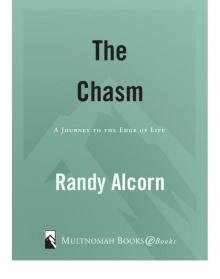      The Chasm