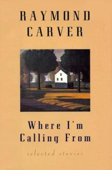      Where I'm Calling From: New and Selected Stories