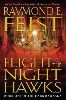      Flight of the Nighthawks