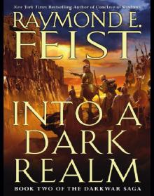      Into a Dark Realm: Book Two of the Darkwar Saga