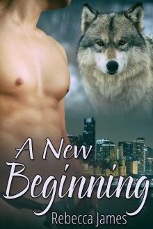      A New Beginning