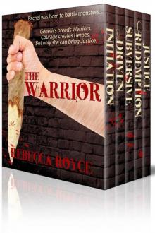      The Warrior - Initiation Driven Subversive Redemption Justice