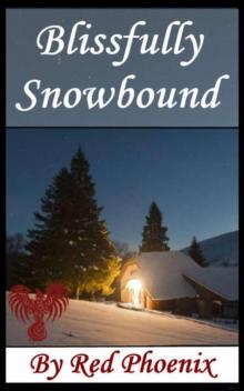      Blissfully Snowbound (Blissful, #1)