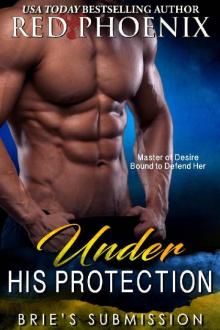      Under His Protection (Brie's Submission Book 14)