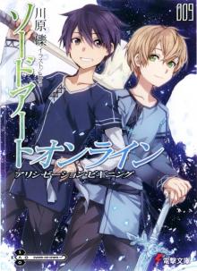      Sword Art Online - Volume 9 - Alicization Beginning
