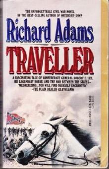      Traveller