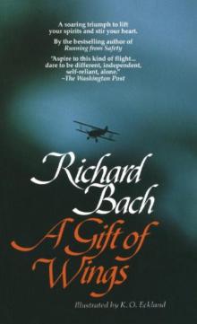      A Gift of Wings