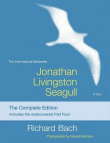      Jonathan Livingston Seagull