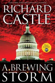      A Brewing Storm: A Derrick Storm Short